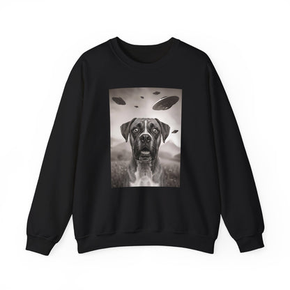 Boxer UFO Crewneck Sweatshirt