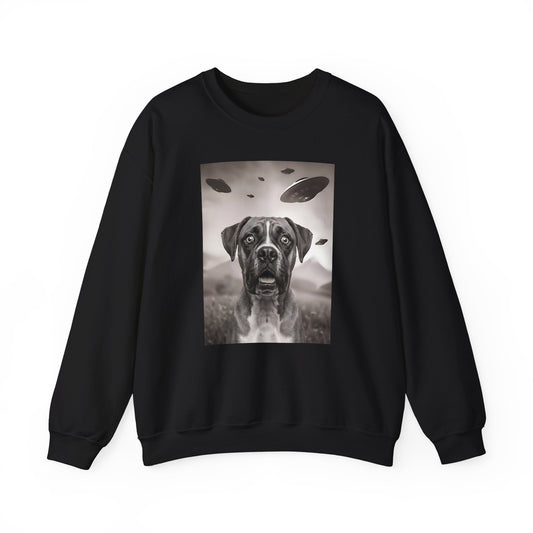 Boxer UFO Crewneck Sweatshirt
