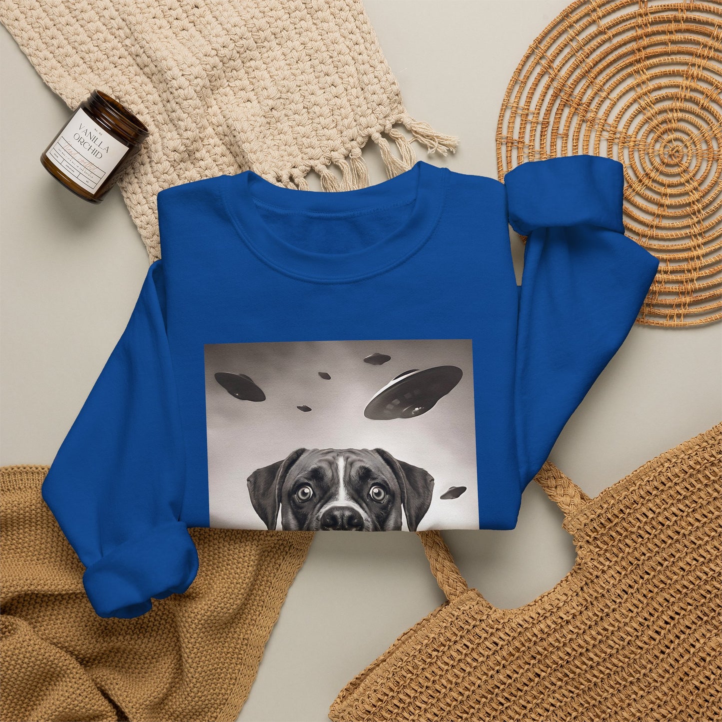 Boxer UFO Crewneck Sweatshirt