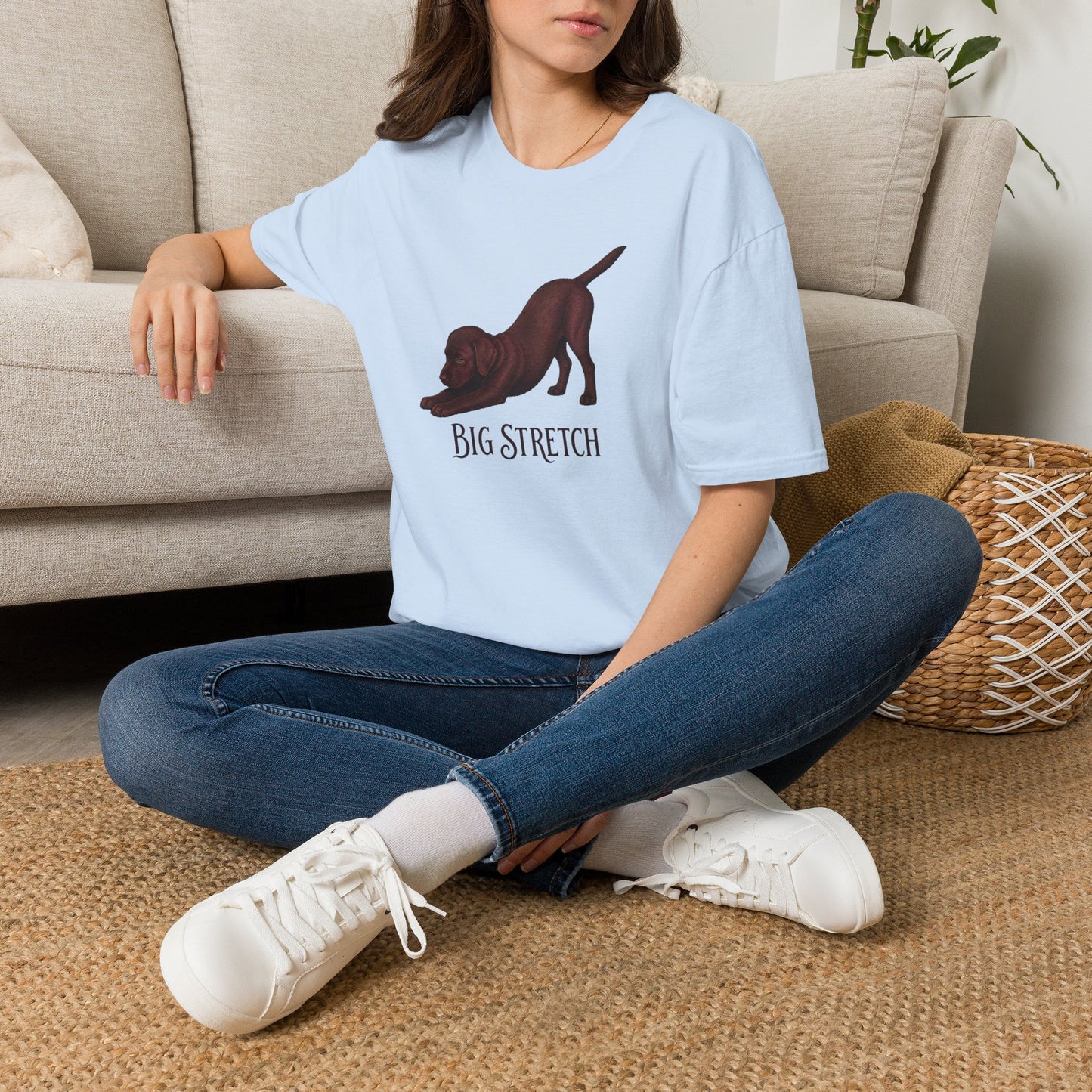 Big Stretch Chocolate Labrador Puppy