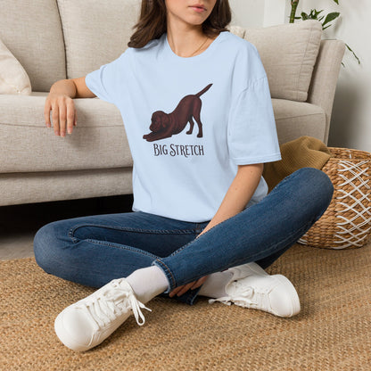 Big Stretch Chocolate Labrador Puppy