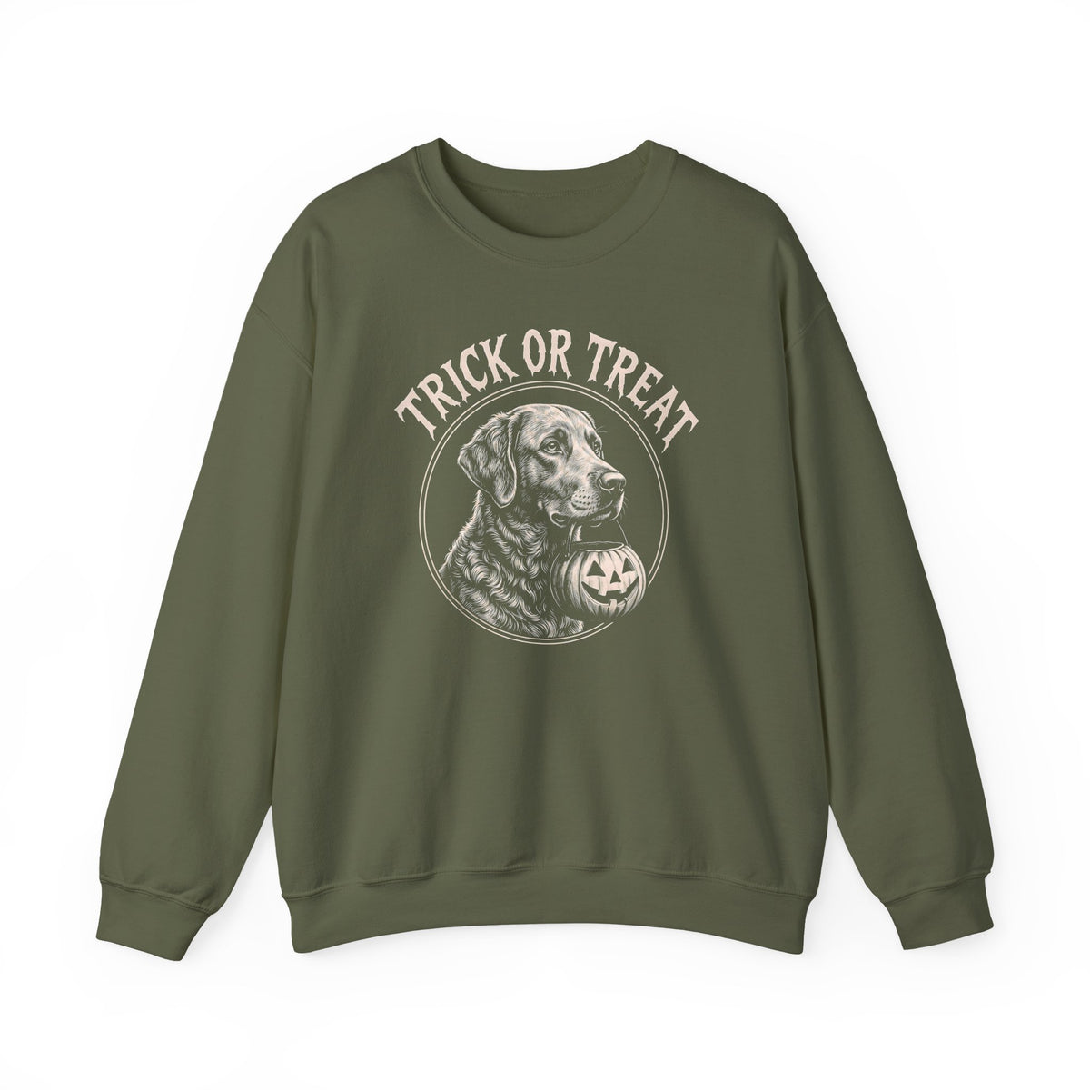 Chesapeake Bay Retriever Trick Or Treat Crewneck Sweatshirt