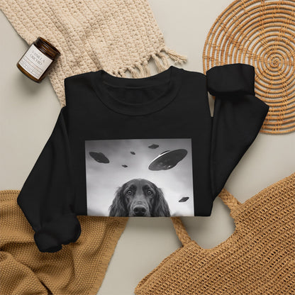 Irish Setter UFO Crewneck Sweatshirt