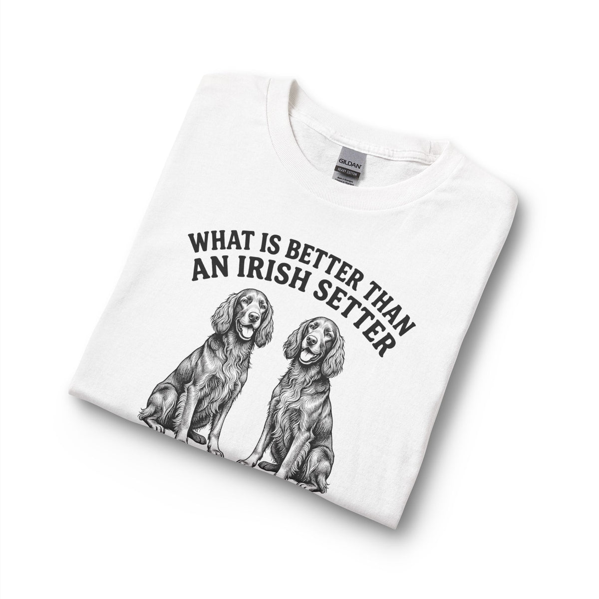 Irish Setter What Is Better Than One Long Sleeve