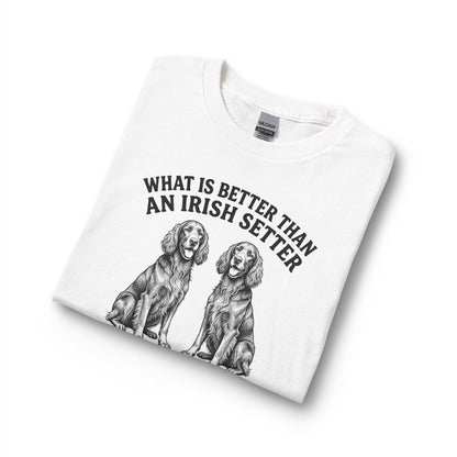 Irish Setter What Is Better Than One Long Sleeve