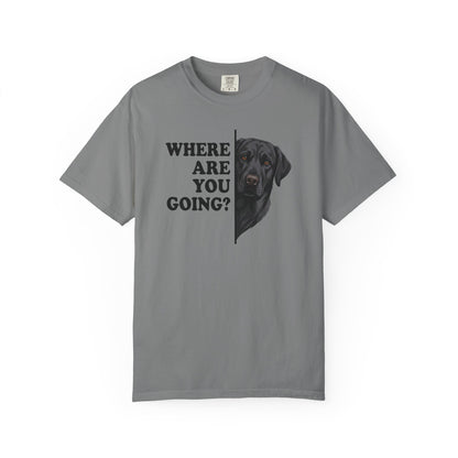 Black labrador Alert Premium Tee