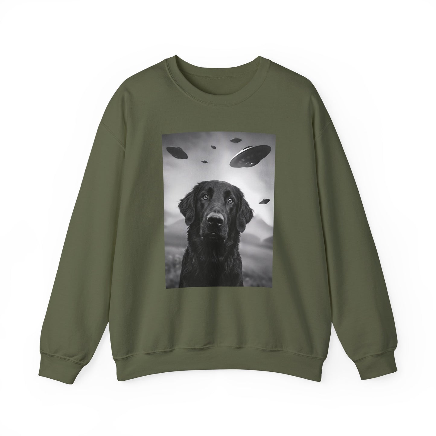 Flat Coated Retriever UFO Crewneck Sweatshirt