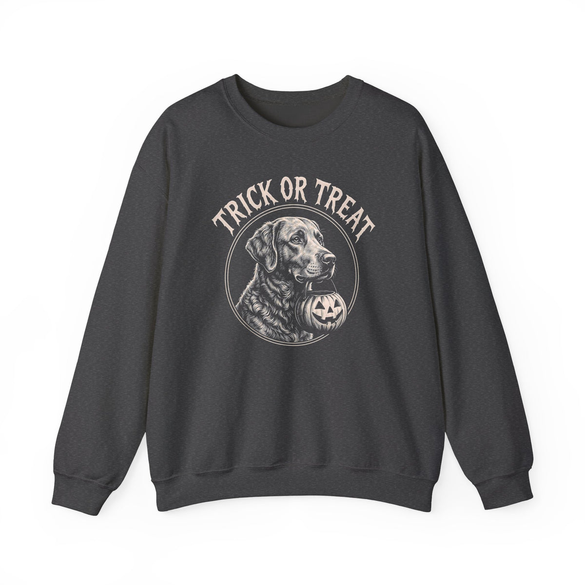 Chesapeake Bay Retriever Trick Or Treat Crewneck Sweatshirt