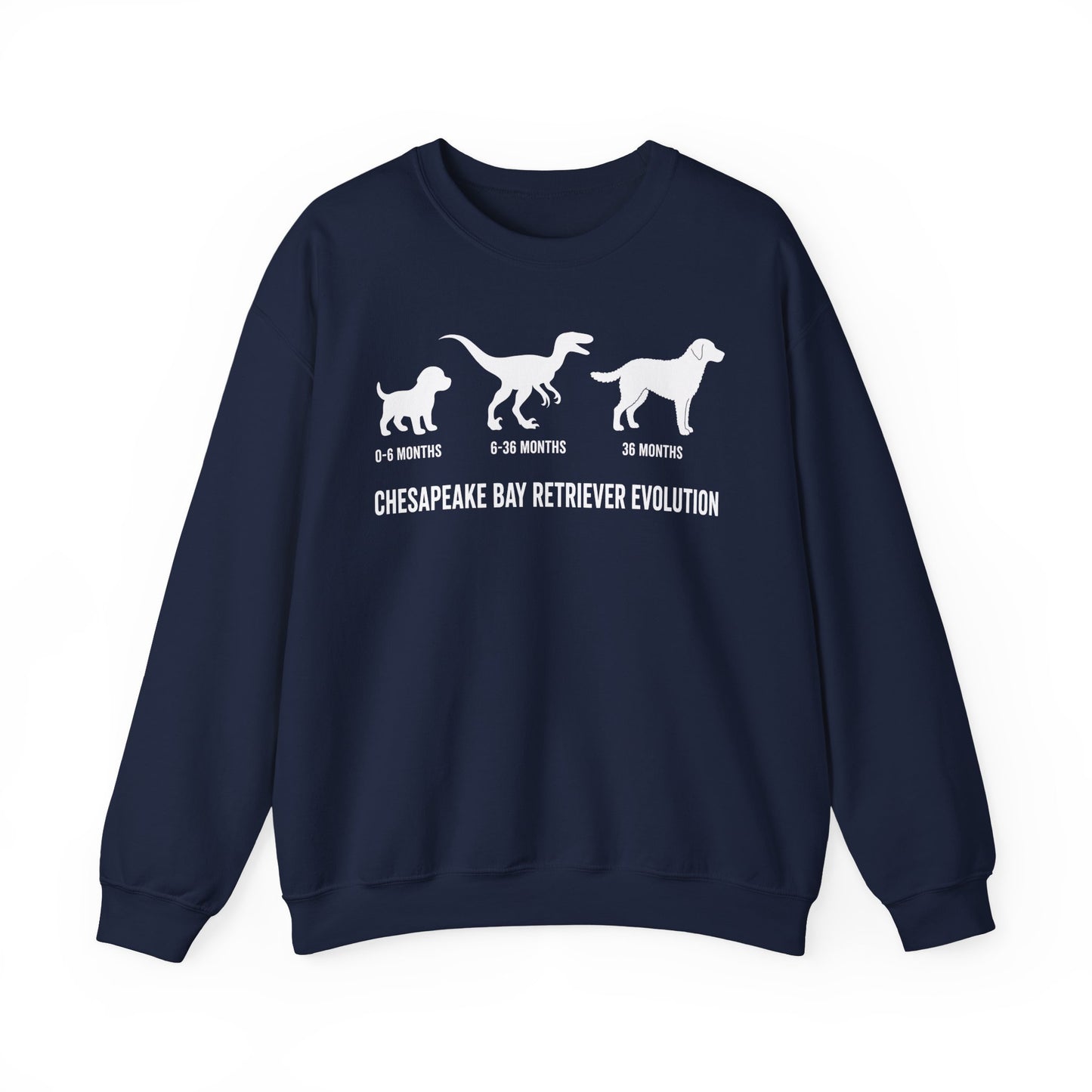 Chesapeake Bay Retriever Evolution Crewneck Sweatshirt