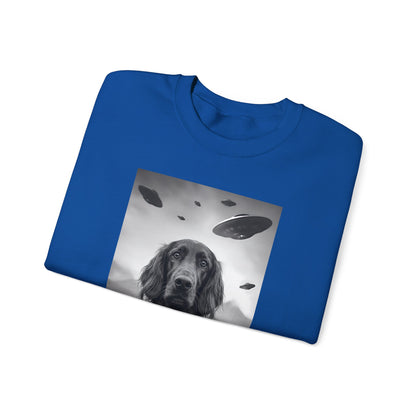 Irish Setter UFO Crewneck Sweatshirt