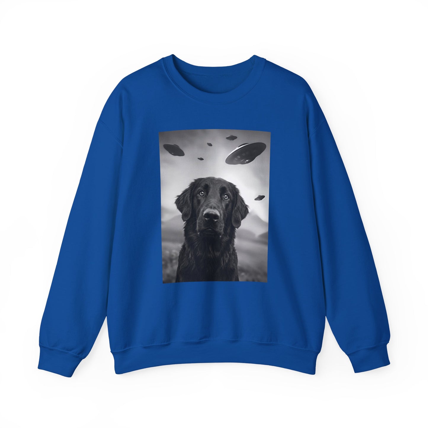 Flat Coated Retriever UFO Crewneck Sweatshirt