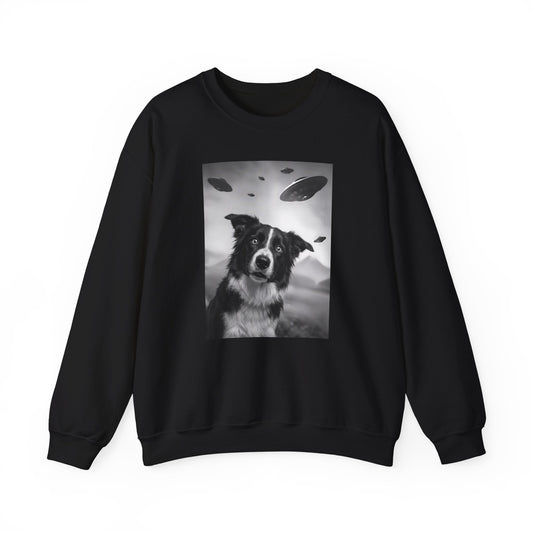Border Collie UFO Crewneck Sweatshirt