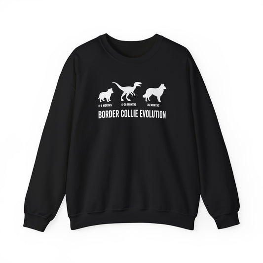 Border Collie Evolution Crewneck Sweatshirt