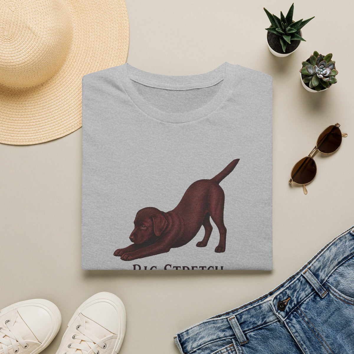 Big Stretch Chocolate Labrador Puppy