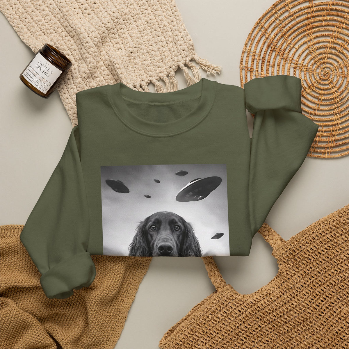 Irish Setter UFO Crewneck Sweatshirt