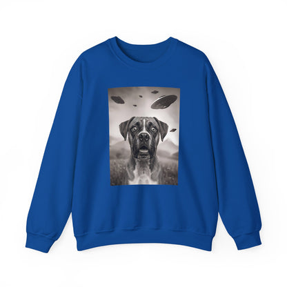 Boxer UFO Crewneck Sweatshirt