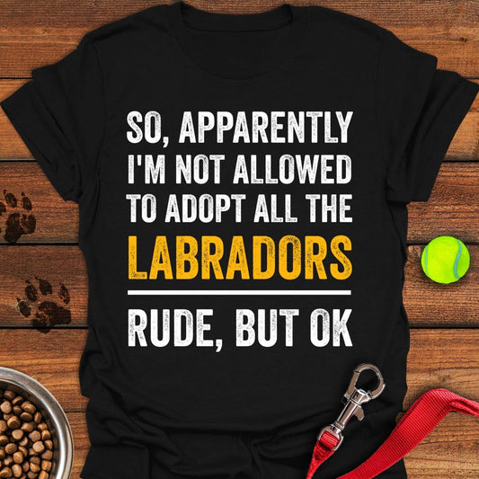 Adopt Labradors Black