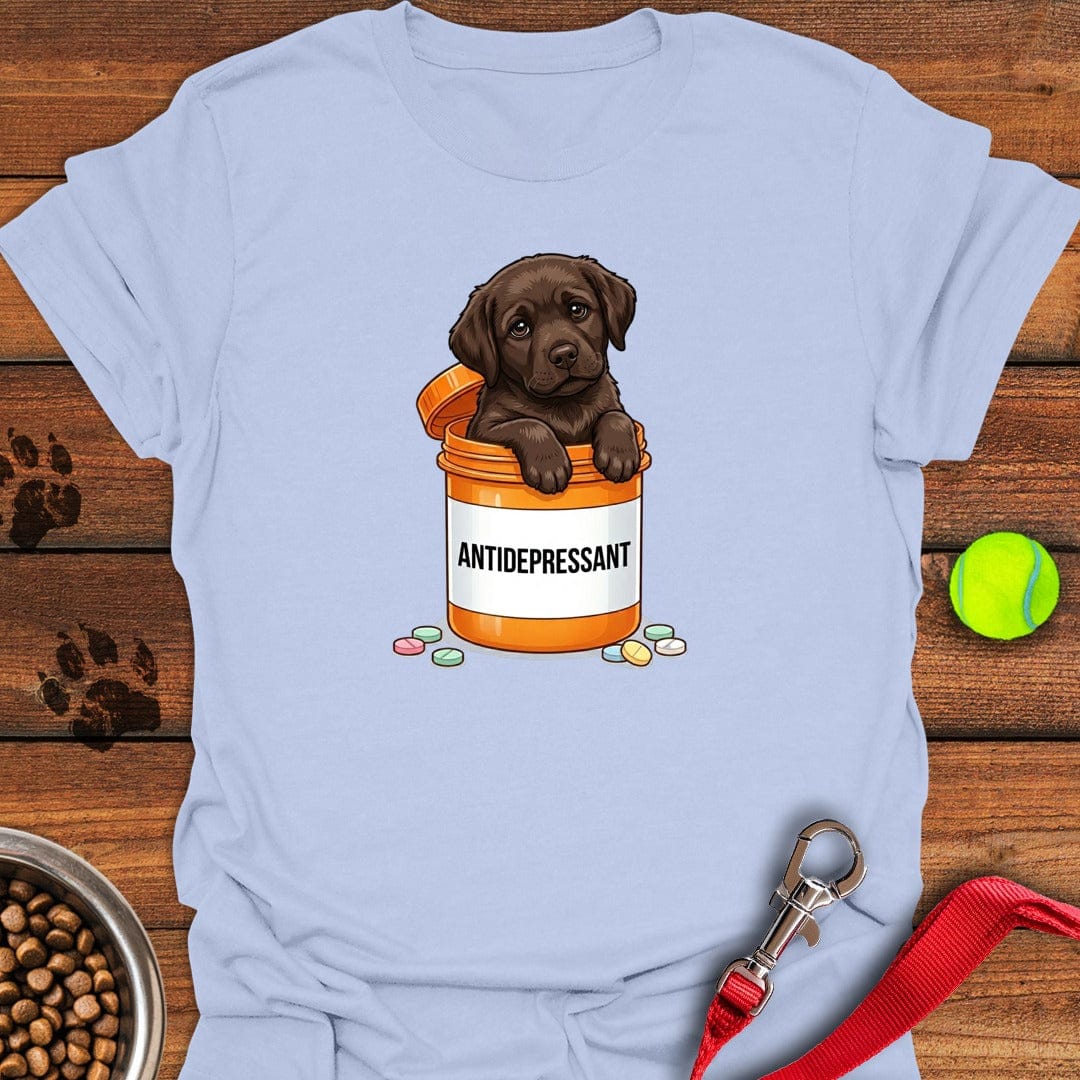 Antidepressant Chocolate Lab Light Blue