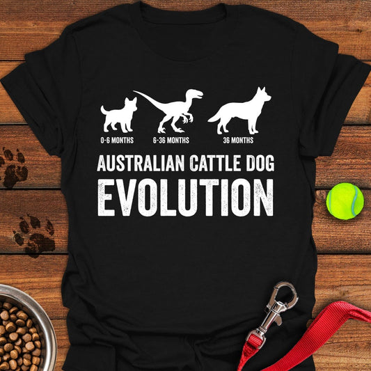 Australian Cattle Dog Evolution Black