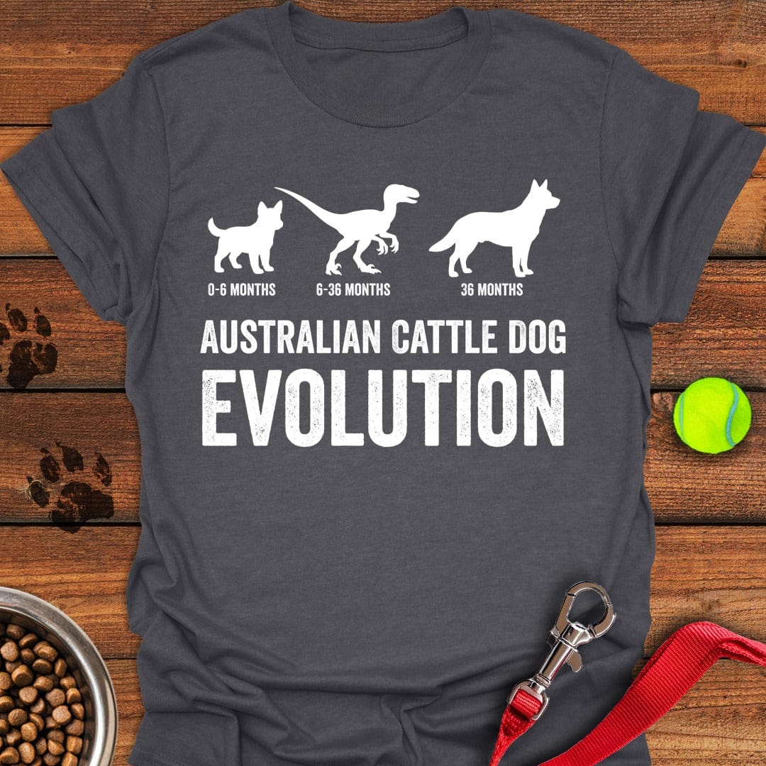 Australian Cattle Dog Evolution Dark Heather