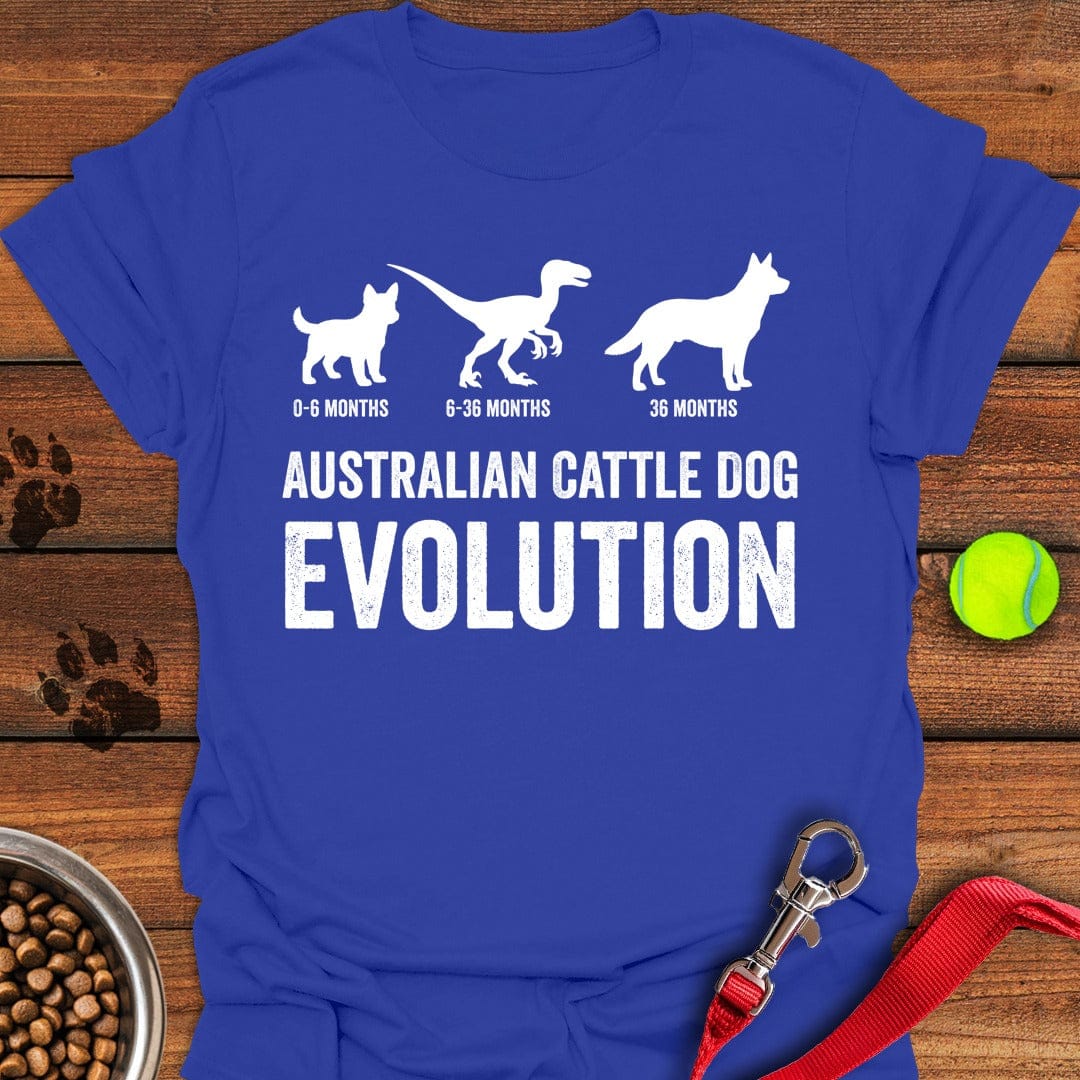 Australian Cattle Dog Evolution Royal