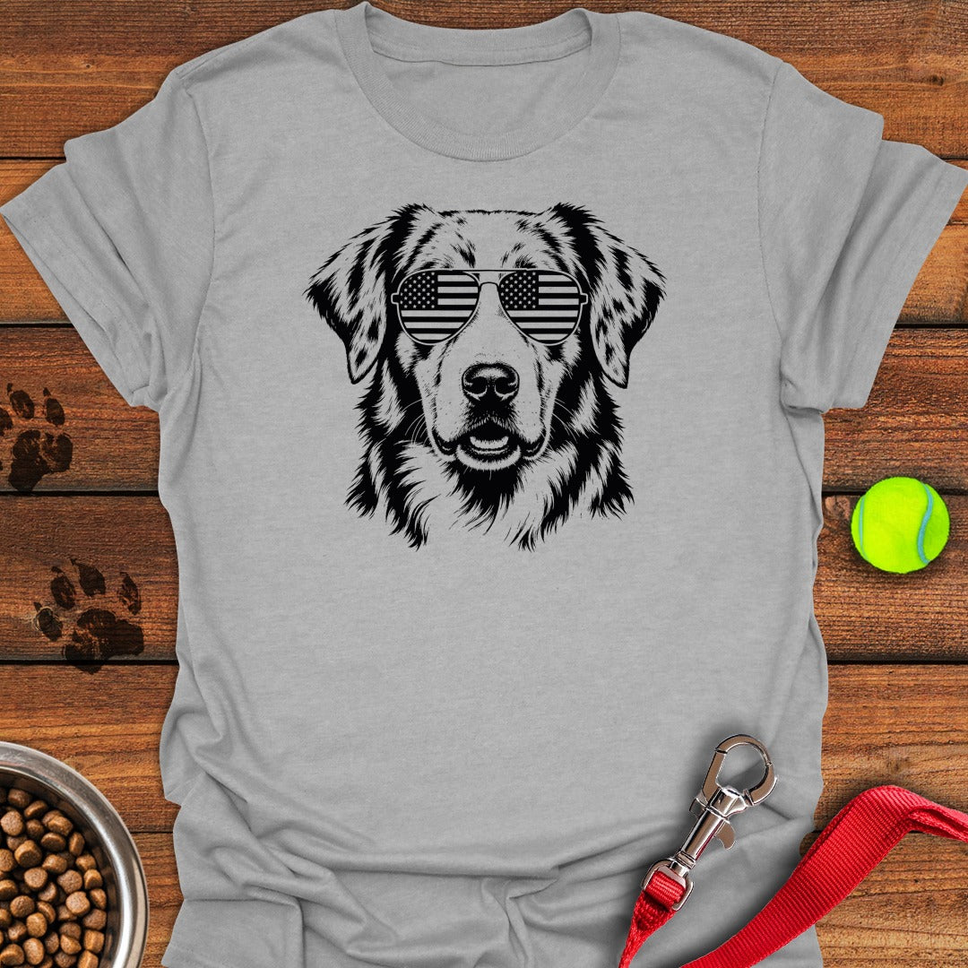 Australian Shepherd Sport Grey