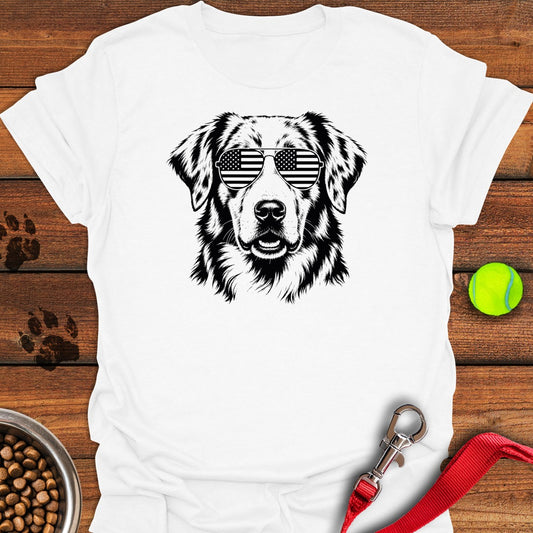Australian Shepherd White