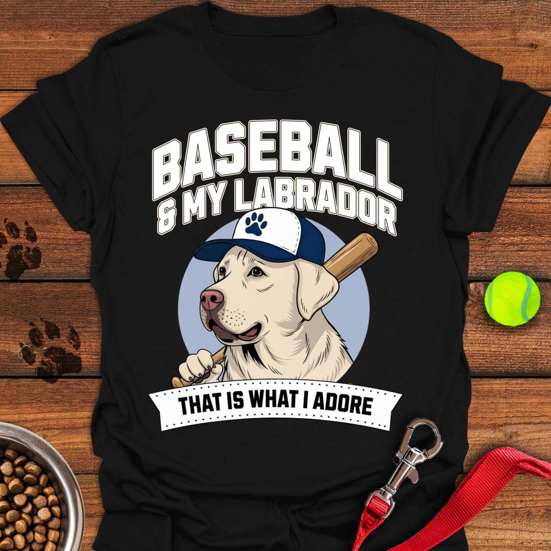 Baseball & Labrador Black