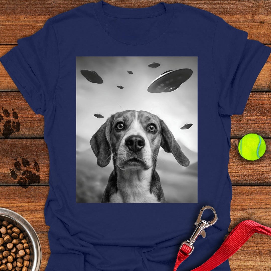 Beagle UFO Navy