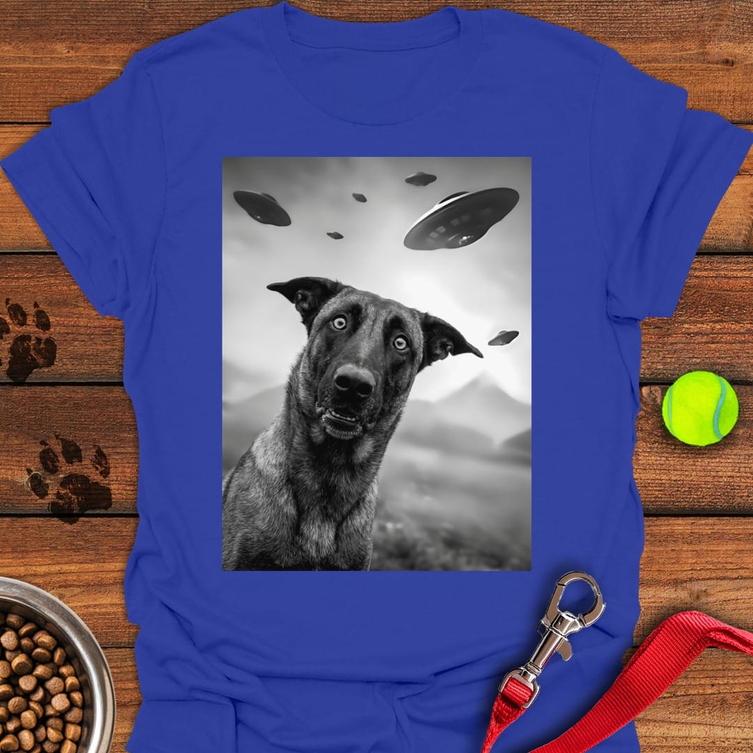 Belgian Malinois UFO Royal