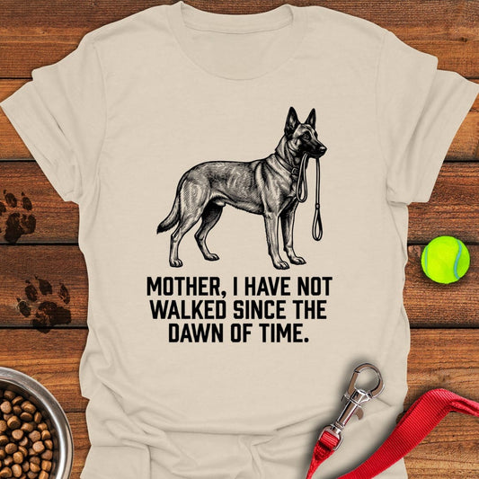 Belgian Malinois Walking Natural