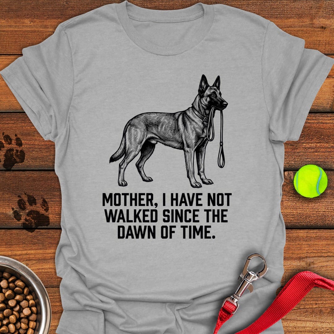 Belgian Malinois Walking Sport Grey