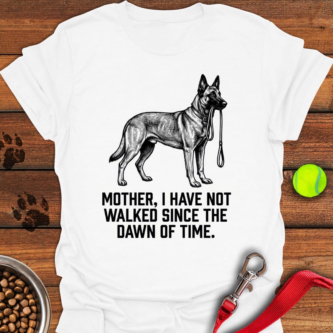 Belgian Malinois Walking White
