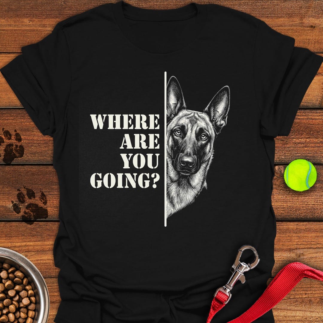 Belgian Malinois Following Black