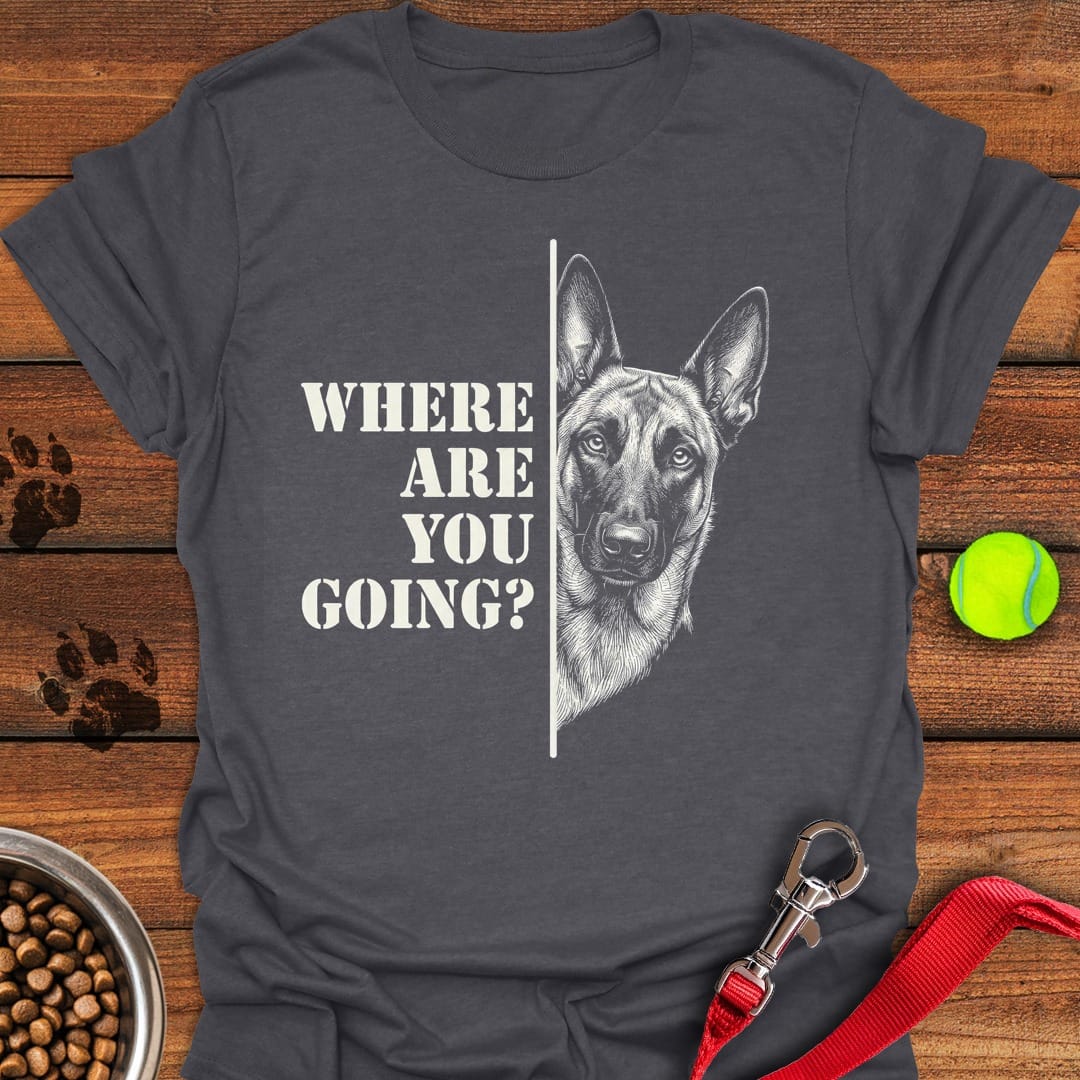 Belgian Malinois Following Dark Heather