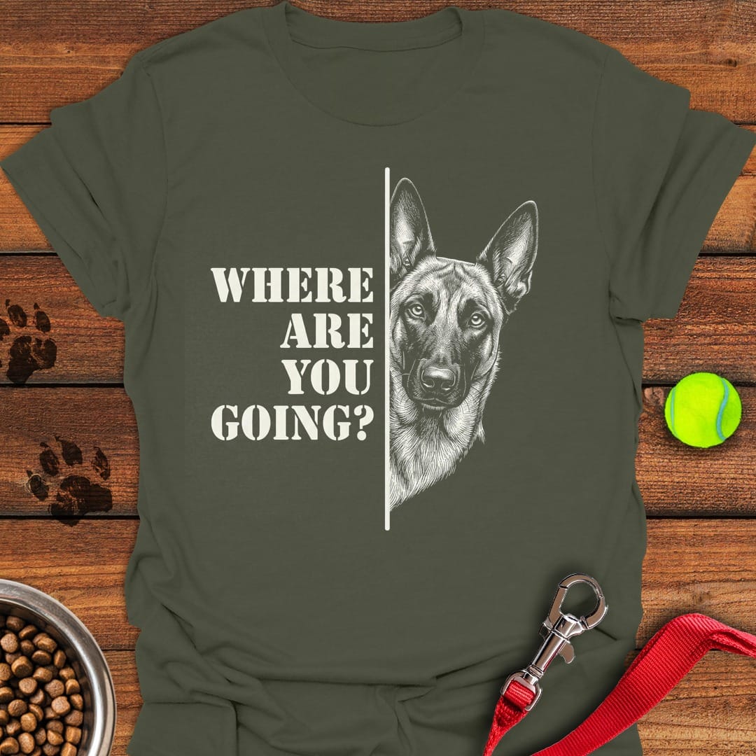 Belgian Malinois Following Military Green