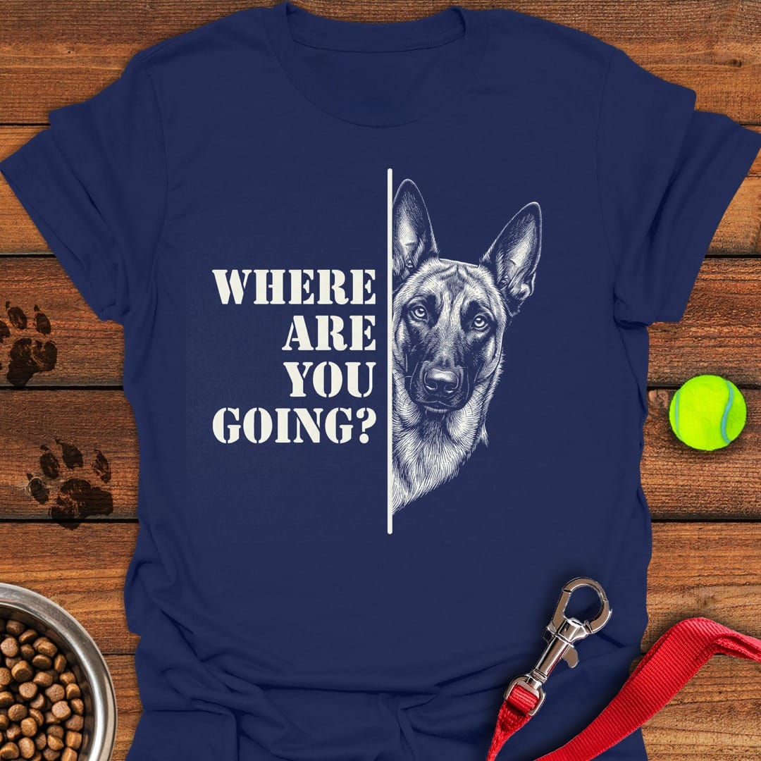 Belgian Malinois Following Navy