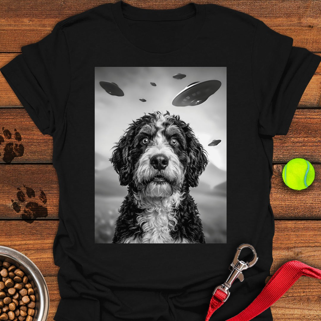 Bernedoodle UFO Black