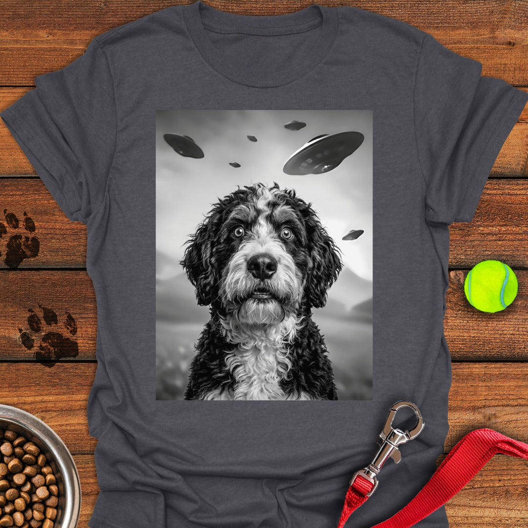 Bernedoodle UFO Dark Heather