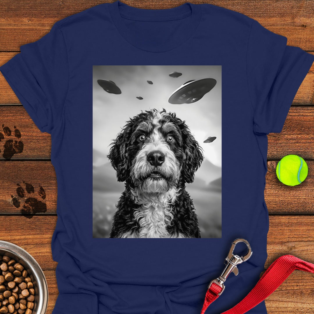 Bernedoodle UFO Navy