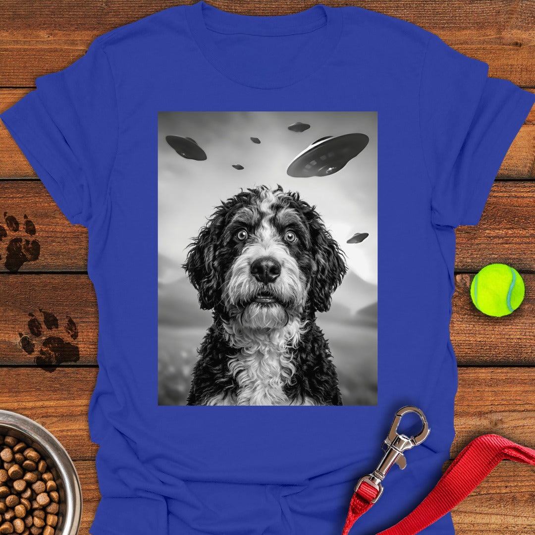 Bernedoodle UFO Royal