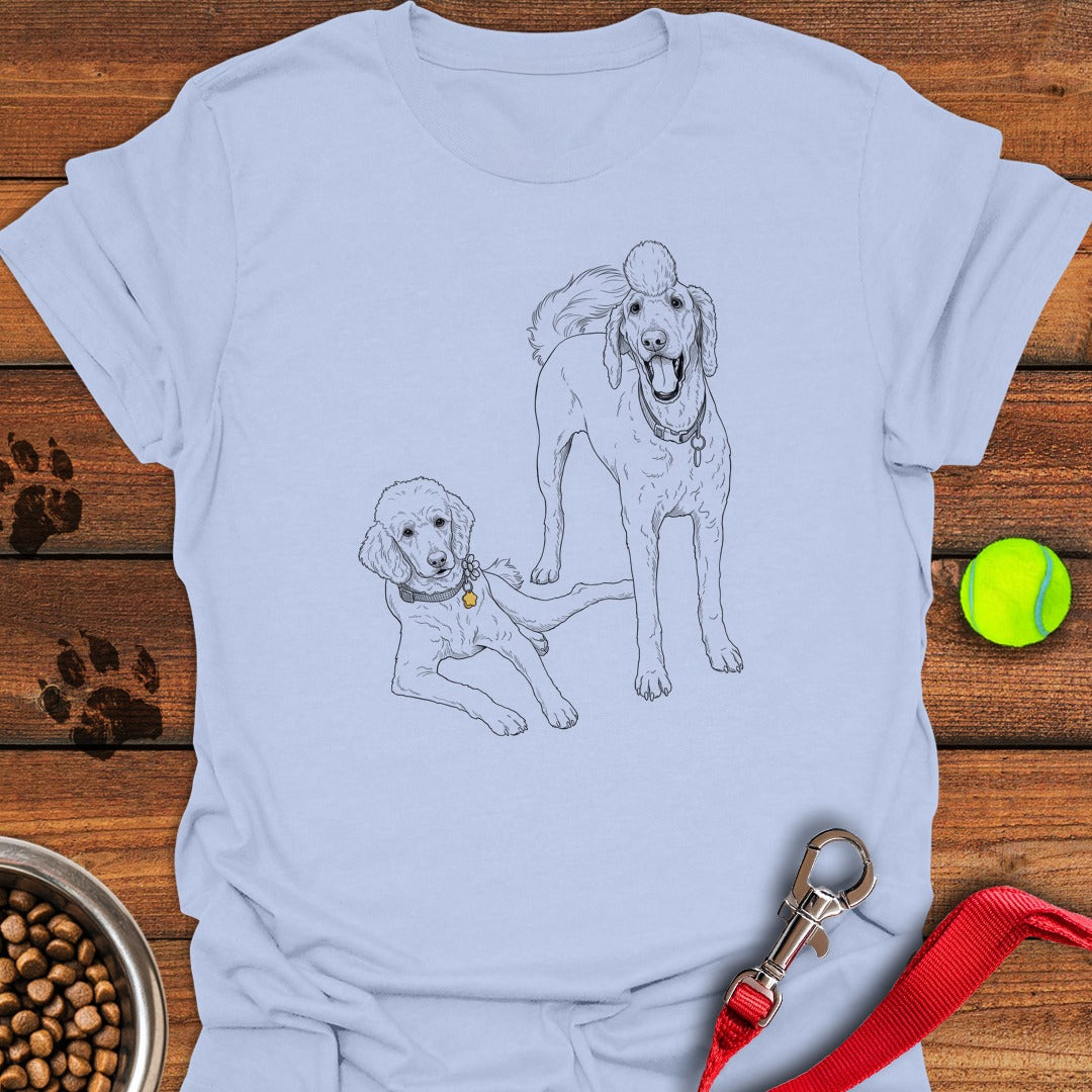 Bernadoodle and Golden Doodle Light Blue