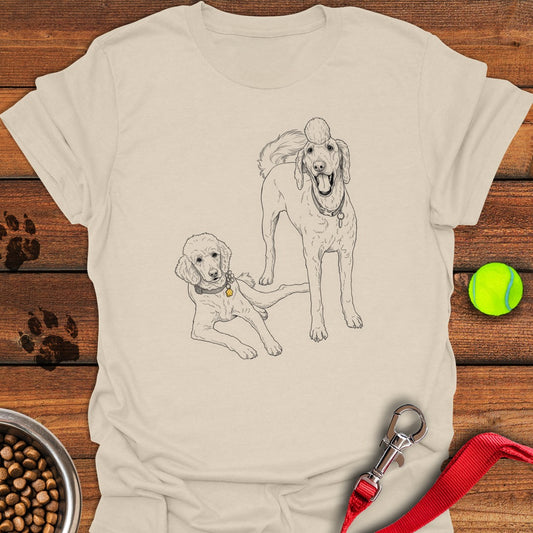 Bernadoodle and Golden Doodle Natural