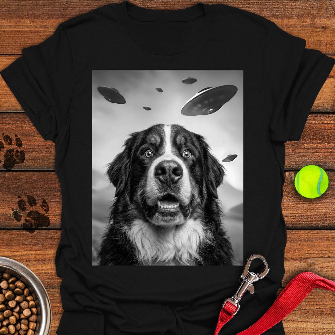 Bernese Mountain Dog UFO Black