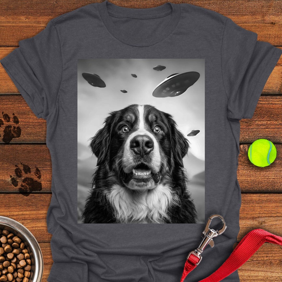 Bernese Mountain Dog UFO Dark Heather