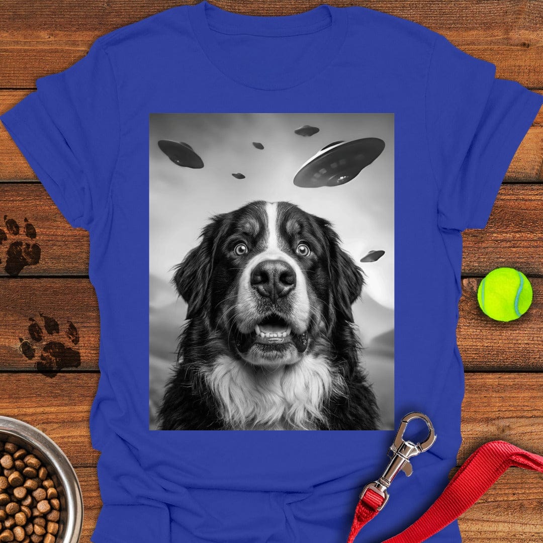 Bernese Mountain Dog UFO Royal