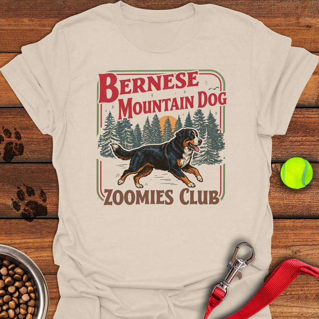 Bernese Mountain Dog Zoomies Natural