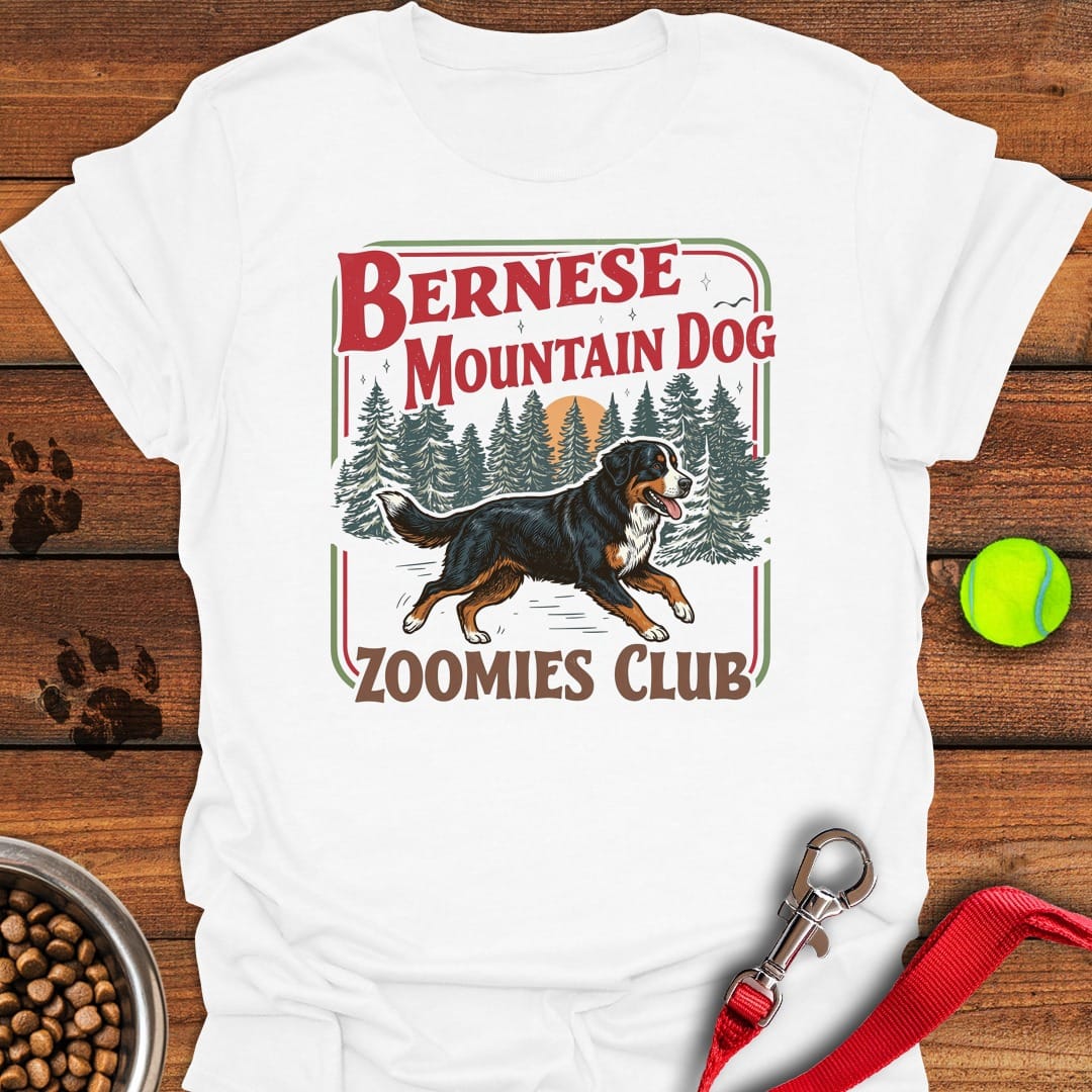 Bernese Mountain Dog Zoomies White
