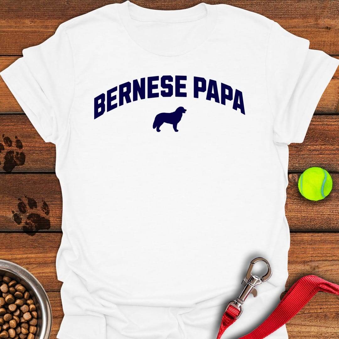 Bernese Papa White