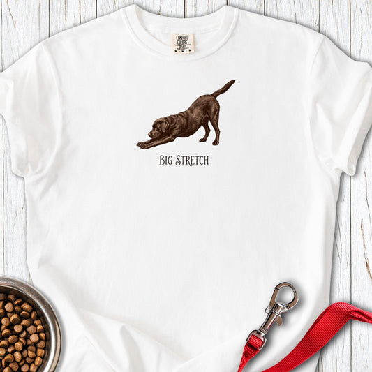 Big Stretch Chocolate Labrador Premium Tee White